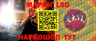MDMA Краснознаменск